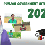 Punjab government internship