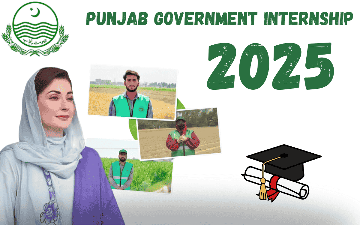 Punjab government internship