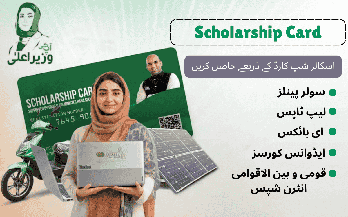 punjab merit scholarship card
