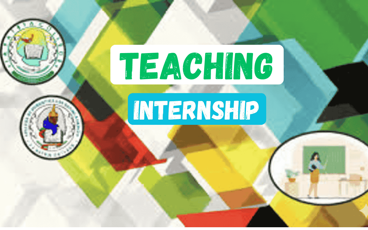 Punjab Government College Teaching Internship