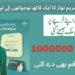 Maryam Nawaz Parwaz Card